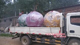 ��˾��ɽ�������Ĳ��P䓵�����