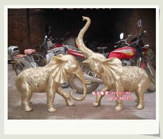 �~�����DƬ �~����� �~�����r�� �~�����S��